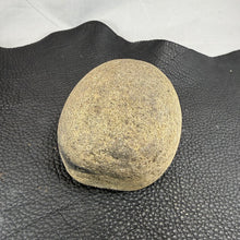 Carved Trilobite Boulder – Polished Stone Fossil Sculpture