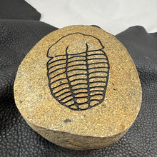 Carved Trilobite Boulder – Polished Stone Fossil Sculpture