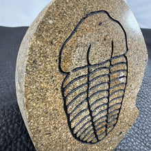 Carved Trilobite Boulder – Polished Stone Fossil Sculpture