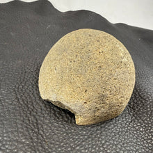 Carved Trilobite Boulder – Polished Stone Fossil Sculpture