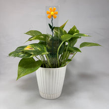 Fused Glass Plant Stake Totem - Daisy, Marigold, or Violet Flower