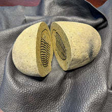 Carved Trilobite Boulder – Polished Stone Fossil Sculpture