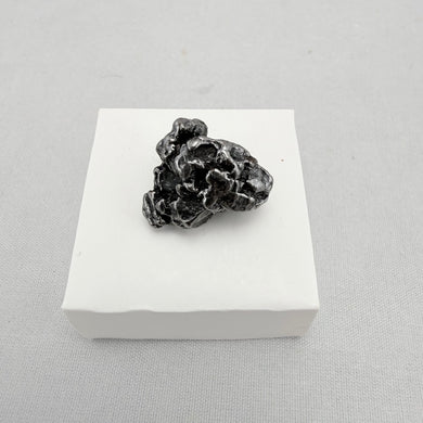 Campo del Cielo Meteorite - Small - 15.5 grams