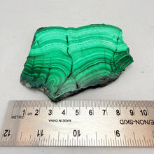 Polished Malachite Slab – 175 Gram Natural Stone Display Piece