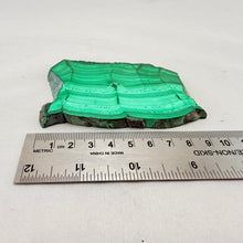 Polished Malachite Slab – 150 Gram Natural Stone Display Piece