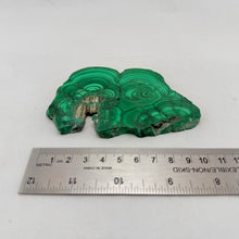 Polished Malachite Slab – 160 Gram Natural Stone Display Piece
