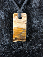 Petrified Wood Focal Bead