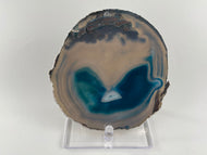 Large Gold Trimmed Brazilian Agate Slice