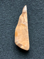 Petrified Wood Focal Bead