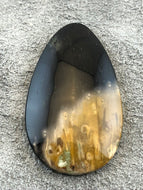 Agatized Petrified Palm Root - Pear Cabochon - 11.8 grams
