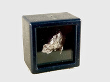 Campo del Cielo Meteorite - Single Box Set