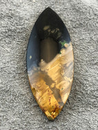 Agatized Petrified Palm Root - Marquise Cabochon - 11 grams