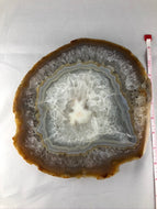 Extra Large Brazilian Agate Slice
