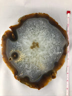 Extra Large Brazilian Agate Slice