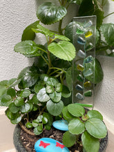 Fused Glass Plant Stake Totem - Jeweled Pedals