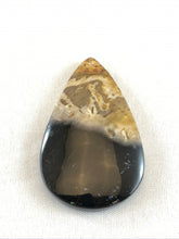 Agatized Petrified Palm Root - Pear Cabochon - 11.9 grams