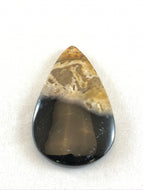 Agatized Petrified Palm Root - Pear Cabochon - 11.9 grams