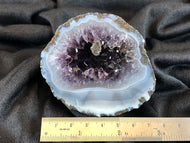 Las Choyas Coconut Geode Half