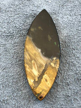 Agatized Petrified Palm Root - Marquise Cabochon - 11 grams