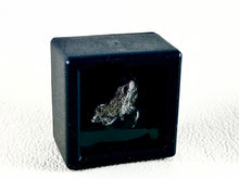 Campo del Cielo Meteorite - Single Box Set