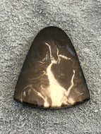 Agatized Petrified Palm Root - Badge Cabochon - 5.6 grams