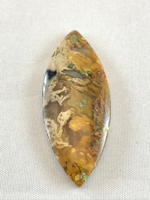 Agatized Petrified Palm Root - Marquise Cabochon - 11.6 grams