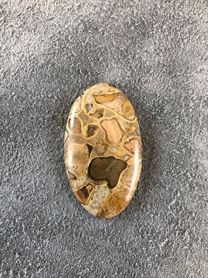 Copywin Jasper - Oval Cabochon - 11.5 grams