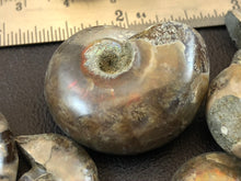 Small Ammonite Fossil - 8.8 grams