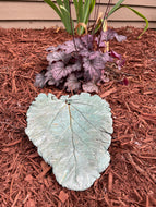 Jade Green Rhubarb Leaf - Cast Portland Cement - Medium 11-1/4" x 9-1/4"