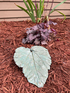 Jade Green Rhubarb Leaf - Cast Portland Cement - Medium 10-1/2" x 8-3/4"