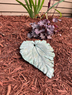 Jade Green Rhubarb Leaf - Cast Portland Cement - Medium 11-1/2" x 9-1/4"