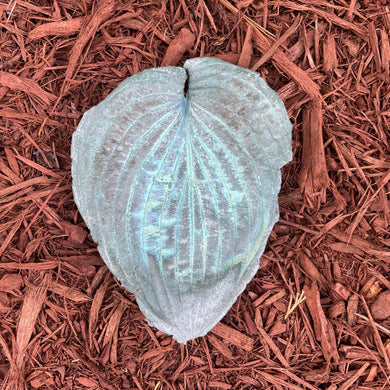 Jade Green Hosta Leaf - Cast Portland Cement - Small 6-1/2