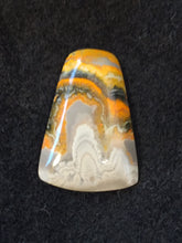 Bumble Bee Jasper Cabochon - front view