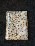Agatized Petrified Palm Wood - Rectangular Cabochon - 6.4 grams