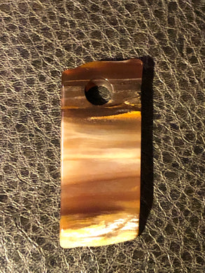 Petrified Wood Focal Bead