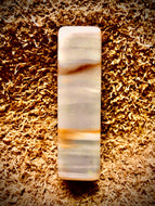 Petrified Wood Focal Bead
