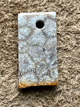 Agatized Fossil Coral - Focal Bead