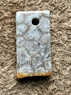 Agatized Fossil Coral - Focal Bead