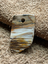 Petrified Wood Focal Bead