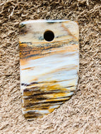 Petrified Wood Focal Bead